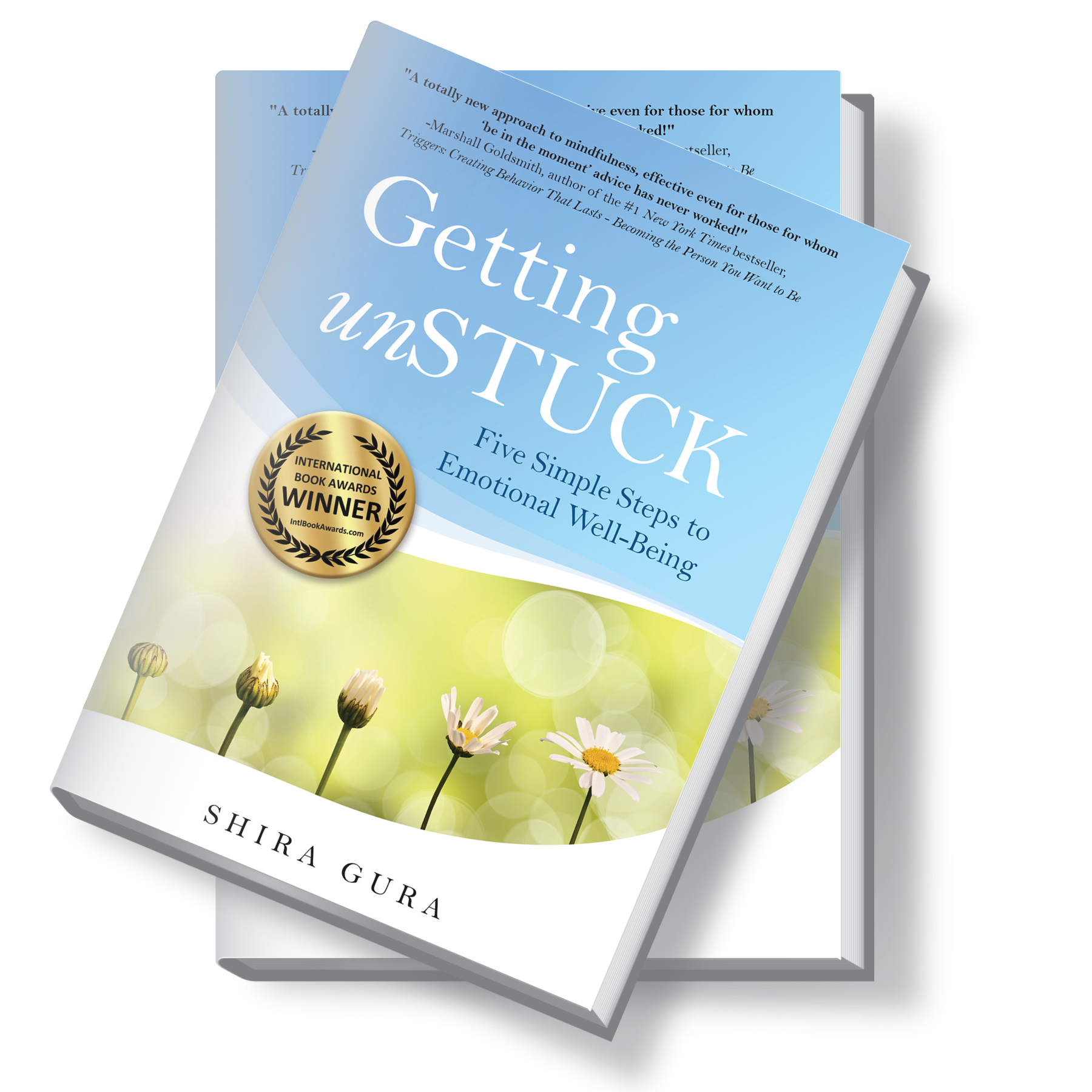 getting-unstuck-shira-gura Getting unSTUCK Book